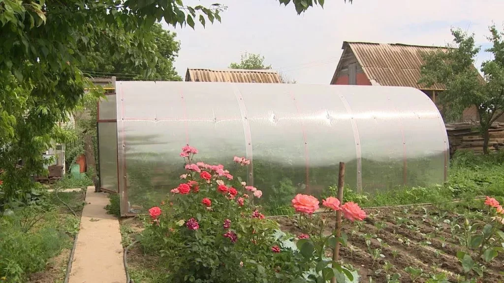 Бани, теплицы и сараи попали под налог