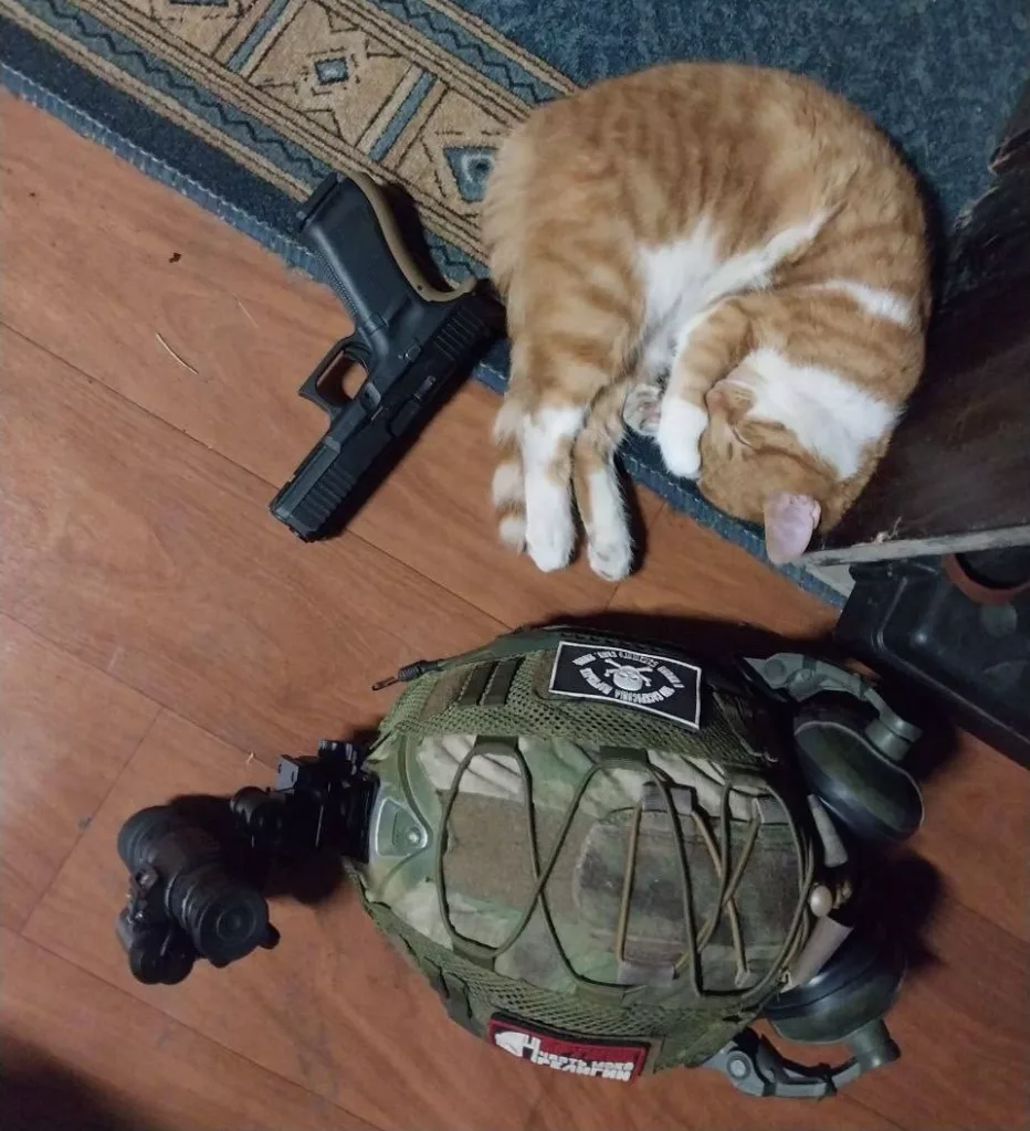 Разбавляем ленту фронтовыми котами