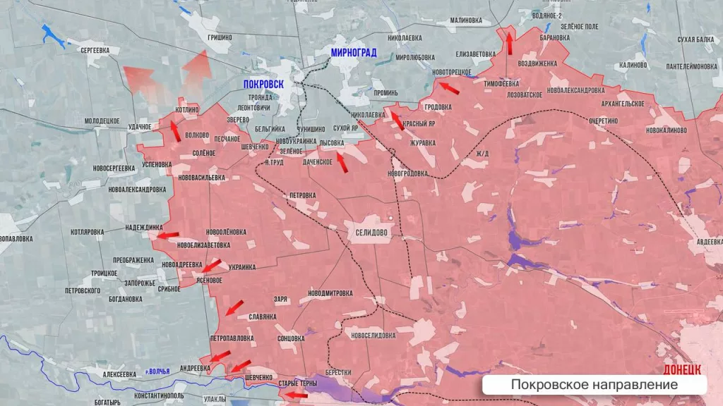 Царев: Фронтовая сводка 11 февраля 2025