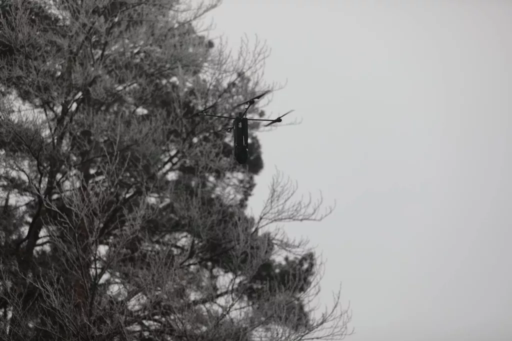 Дополнительные кадры с продолжающихся учений «Combined Resolve 25-01» в немецком Хоэнфельсе, участие в которых принимают военнослужащие 3-й пехотной бригады 10-й горной дивизии армии США