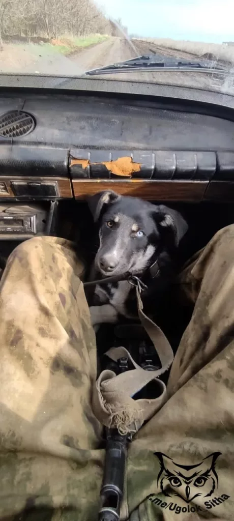 Атмосфера войны