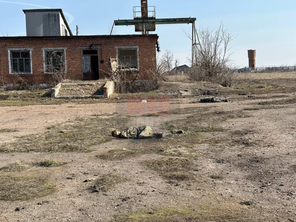 Первые кадры освобожденной Малой Локни