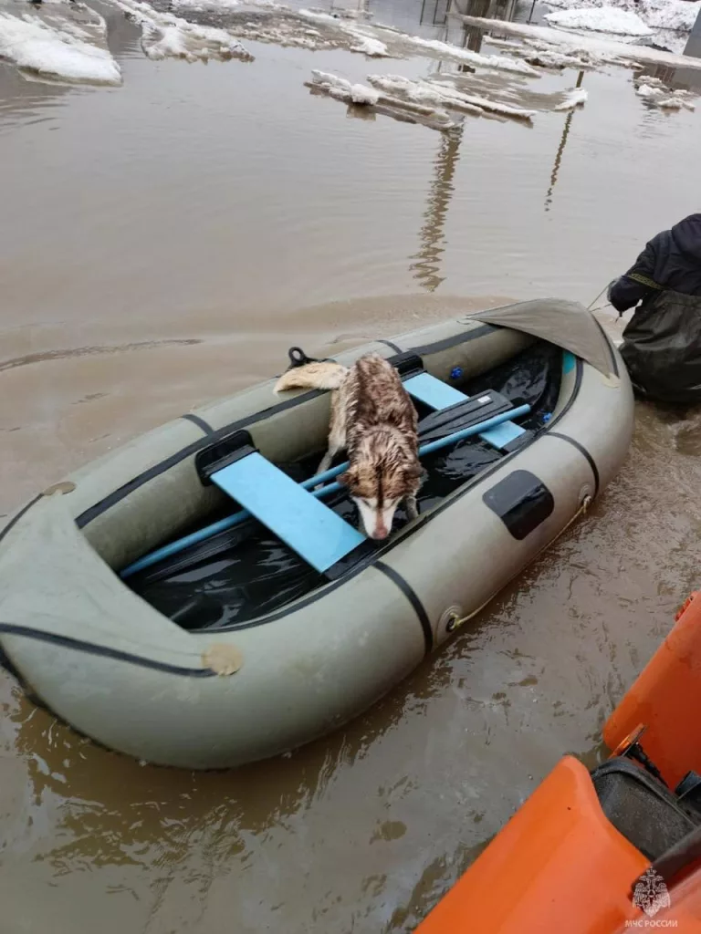 Паводок затопил город Аша в Челябинской области. Также в зону подтопления попали и другие населённые пункты