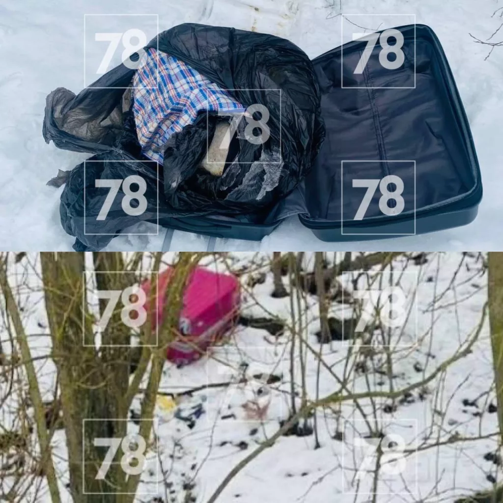 И еще новости из Петербурга: мужчина купался в Неве и обнаружил два чемодана с расчлененными останками