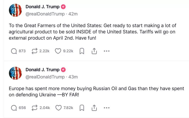 «Вечную войну и бесконечную коррупционную мясорубку»: Маск объявил, чего хочет Зеленский