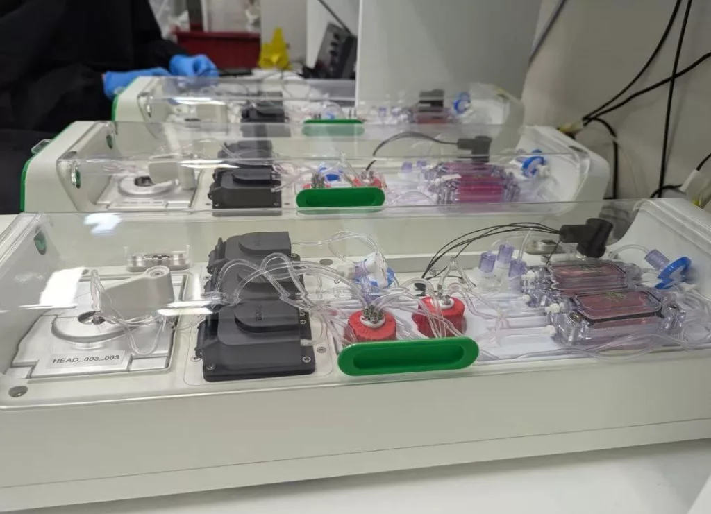 Компьютеры с живыми клетками мозга человека (скоро пойдут в продажу