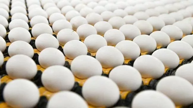 Яйца в России оказались самыми дешевыми среди стран G20