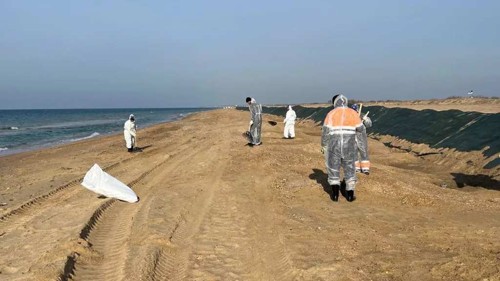 Новые выбросы мазута обнаружили сразу на нескольких участках побережья Кубани, сообщили в оперштабе Краснодарского края