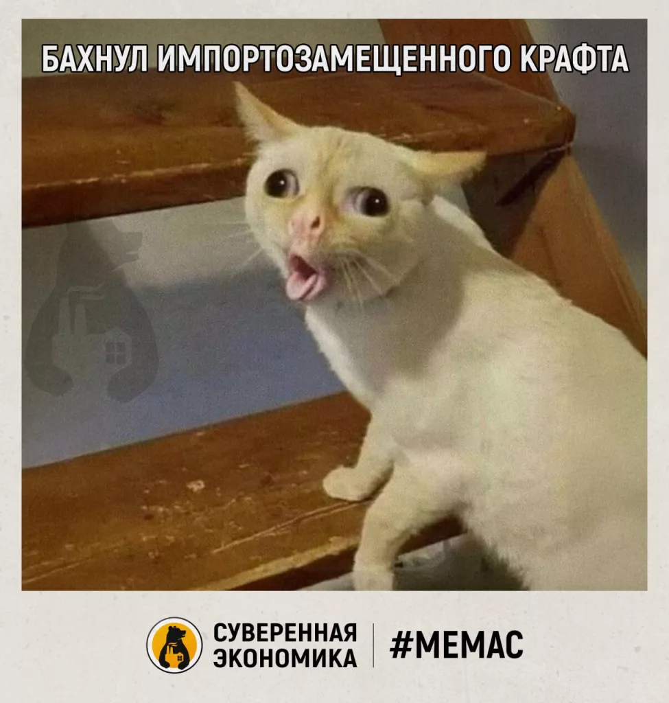 Пиво в кольце санкций: ЕС режет хмель, повышая градус пятничной тоски