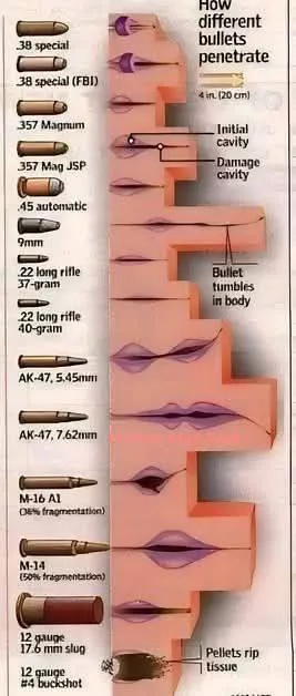 На иллюстрации показано, как различные типы пуль проникают и повреждают ткани человека