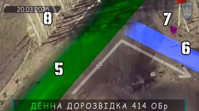 Элитные "птахи мадьяра" оказались обычными ворами из украинского бюджета