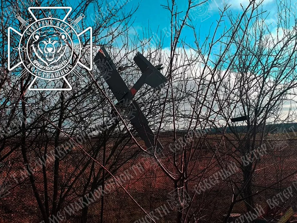 На Украине нет нацизма, или очередные сбитые БпЛА противника