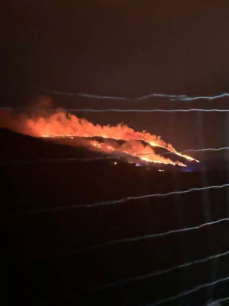 Ночью на границе между Индией и Пакистаном произошла новая перестрелка