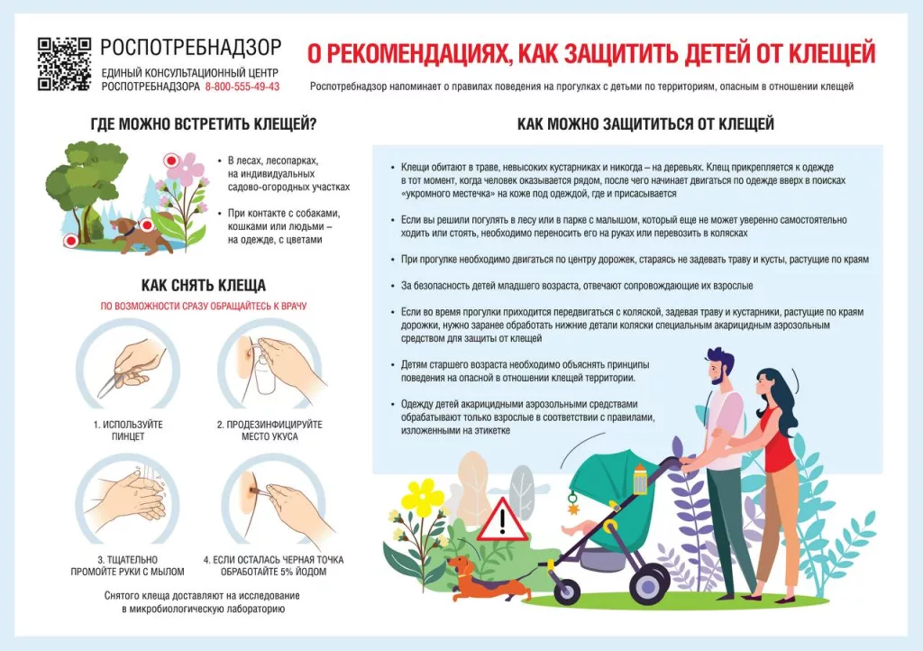 Роспотребнадзор дал рекомендации по защите детей от клещей