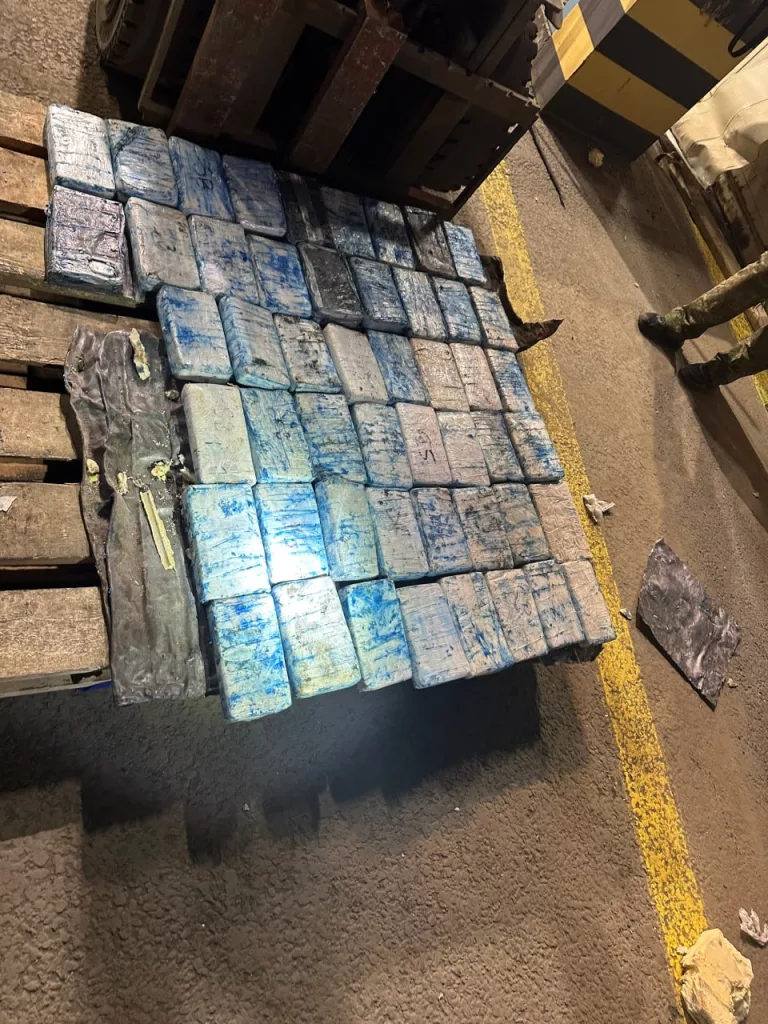 Партию кокаина на 500 000 000 рублей нашли в порту Санкт-Петербурга