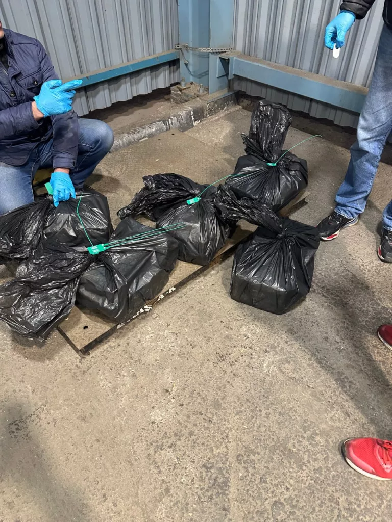 Партию кокаина на 500 000 000 рублей нашли в порту Санкт-Петербурга