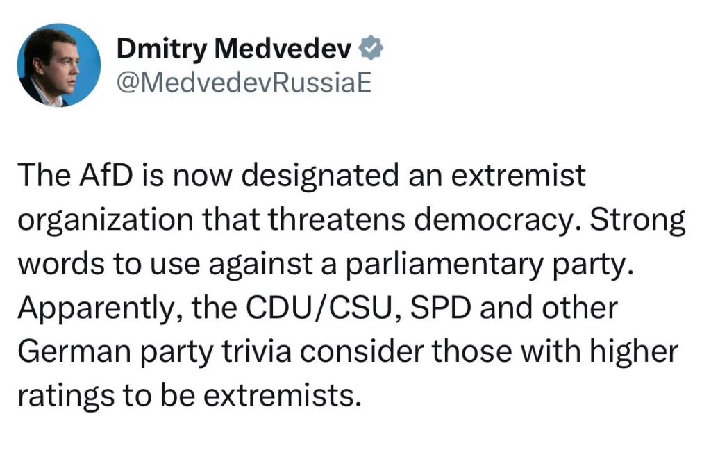 Медведев — о признании немецкой партии АдГ «правоэкстремистской»