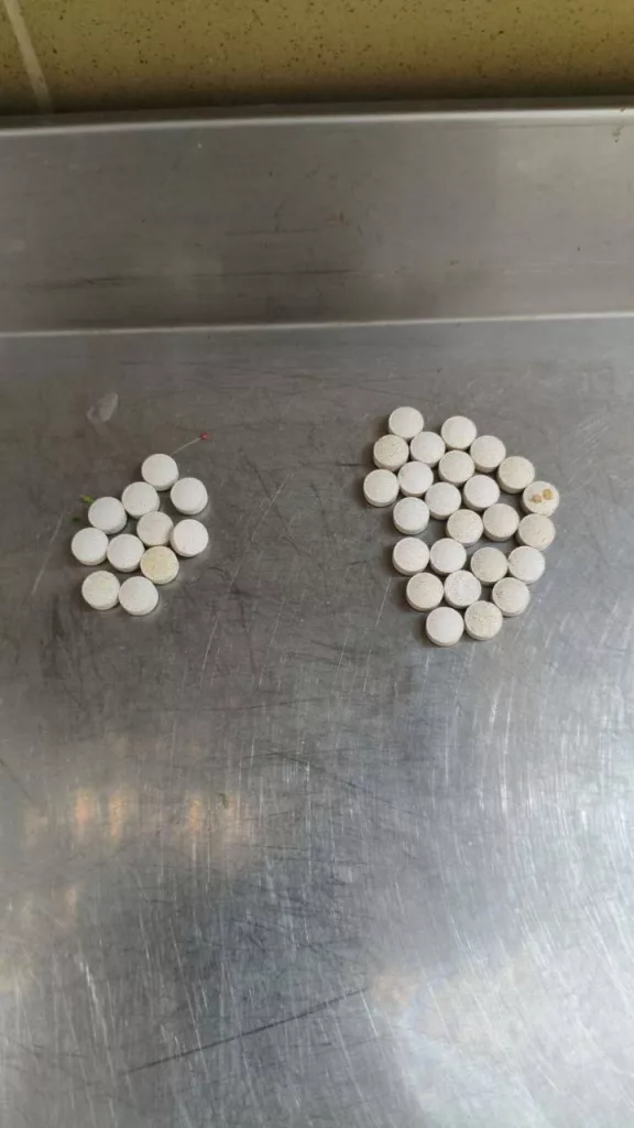 Мужчина попытался отравить животных в Московском зоопарке, сообщила гендиректор парка Светлана Акулова