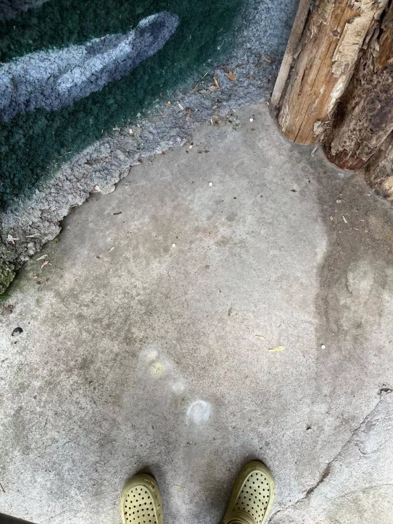 Мужчина попытался отравить животных в Московском зоопарке, сообщила гендиректор парка Светлана Акулова