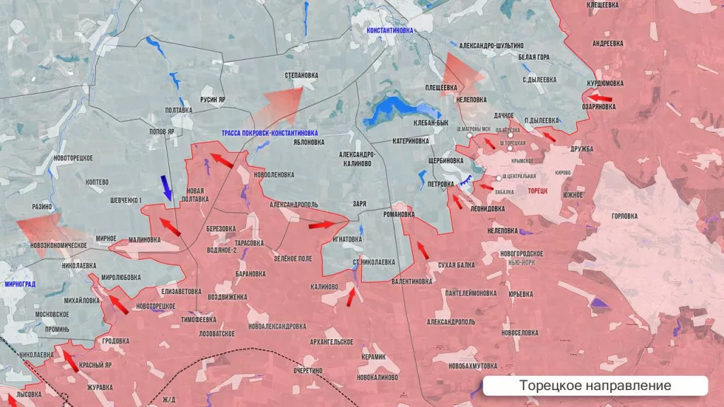 Олег Царев: Фронтовая сводка 29 мая 2025 года