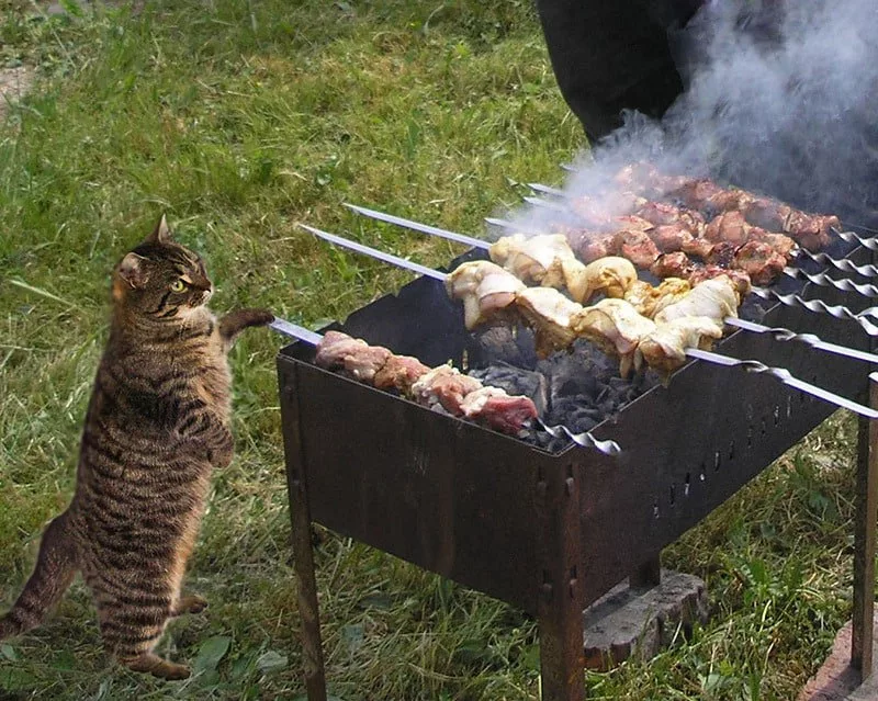 Появился список топовых маринадов для сочного и вкуснейшего шашлыка из любого мяса