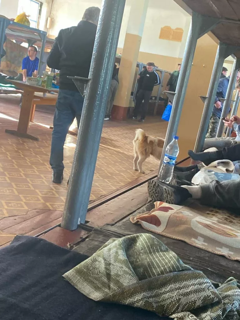 Кадры из подвала одного из киевских ТЦК