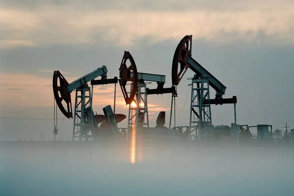 Индия готова предложить РФ 200 тысяч кв. км своей территории для нефтеразведки