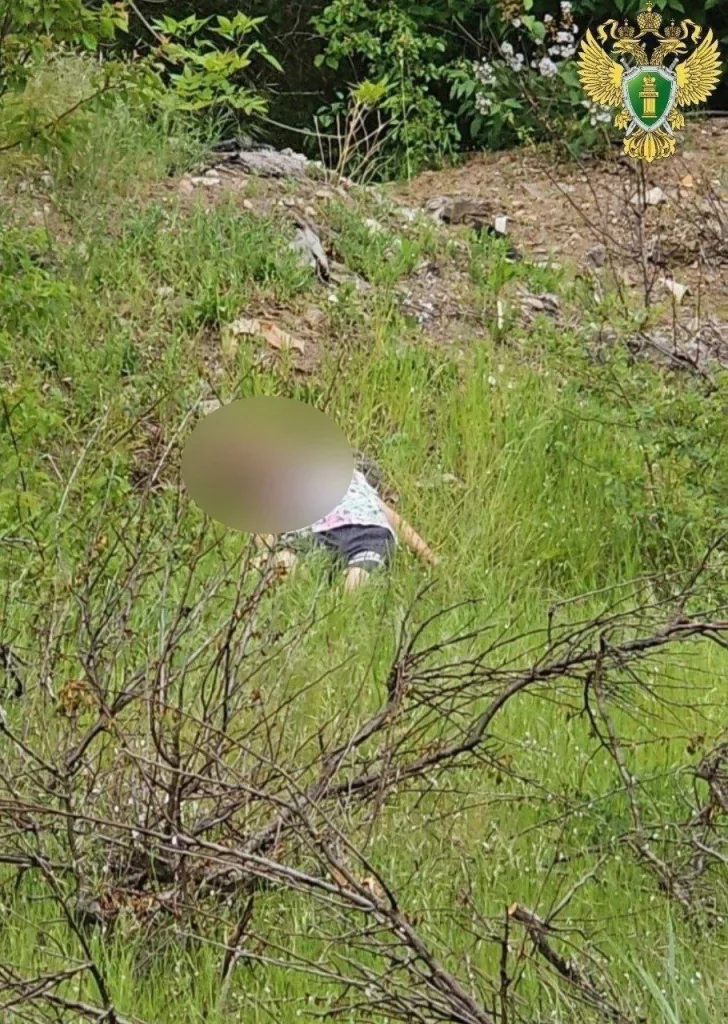 В Запорожской области расследуют жестокое убийство семилетней девочки