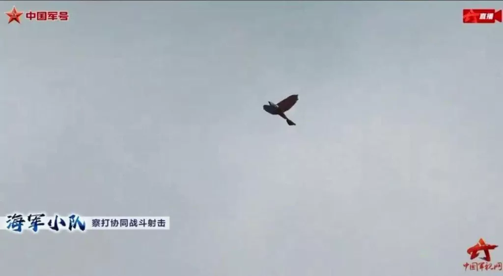 Птичьи стаи с боевой начинкой: Китай представил орнитоптеры