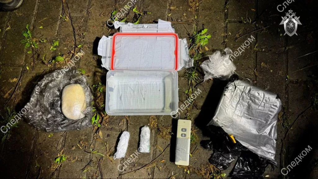 СК сообщил, что в Москве предотвращен теракт, который готовился по заданию украинских спецслужб