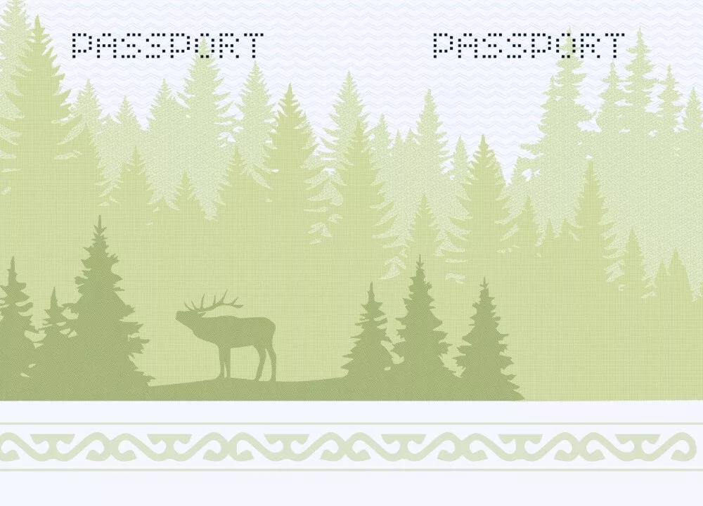 Новый синий паспорт может появиться в России - он будет одновременно заграничным и внутренним