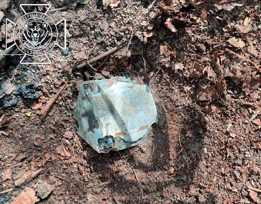 Американские противопехотные мины в Харьковской области