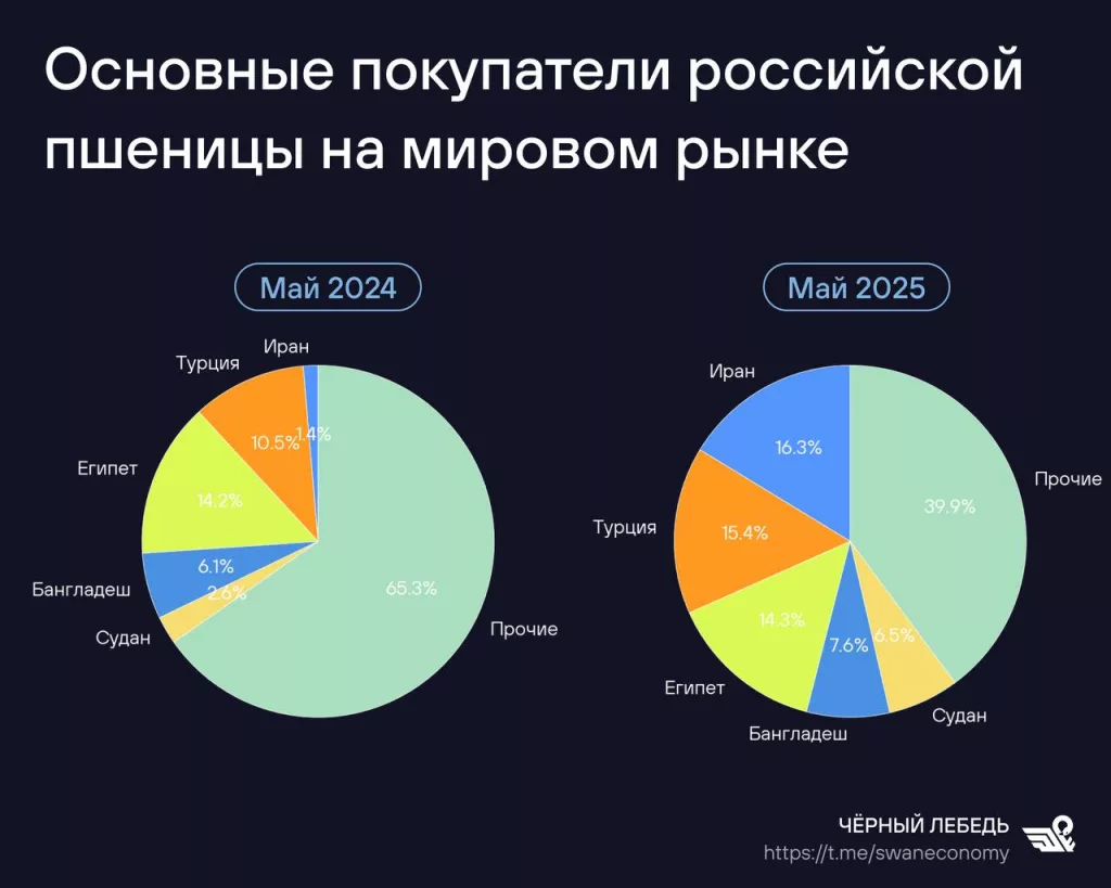 В России задумались о расчётах за экспорт зерна в криптовалютах на фоне падения майских продаж