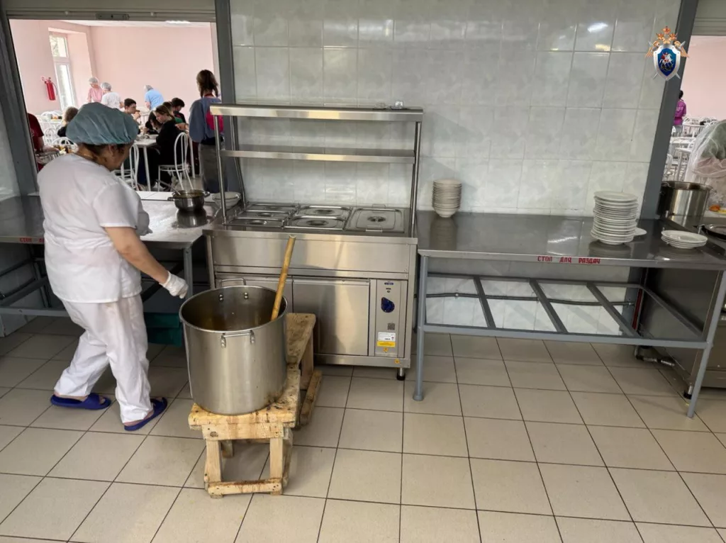 Отравление в детском лагере под Омском: 11 детей в больнице, заведено уголовное дело