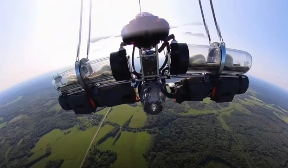 Российские ученые отправили в стратосферу крыс с чипами