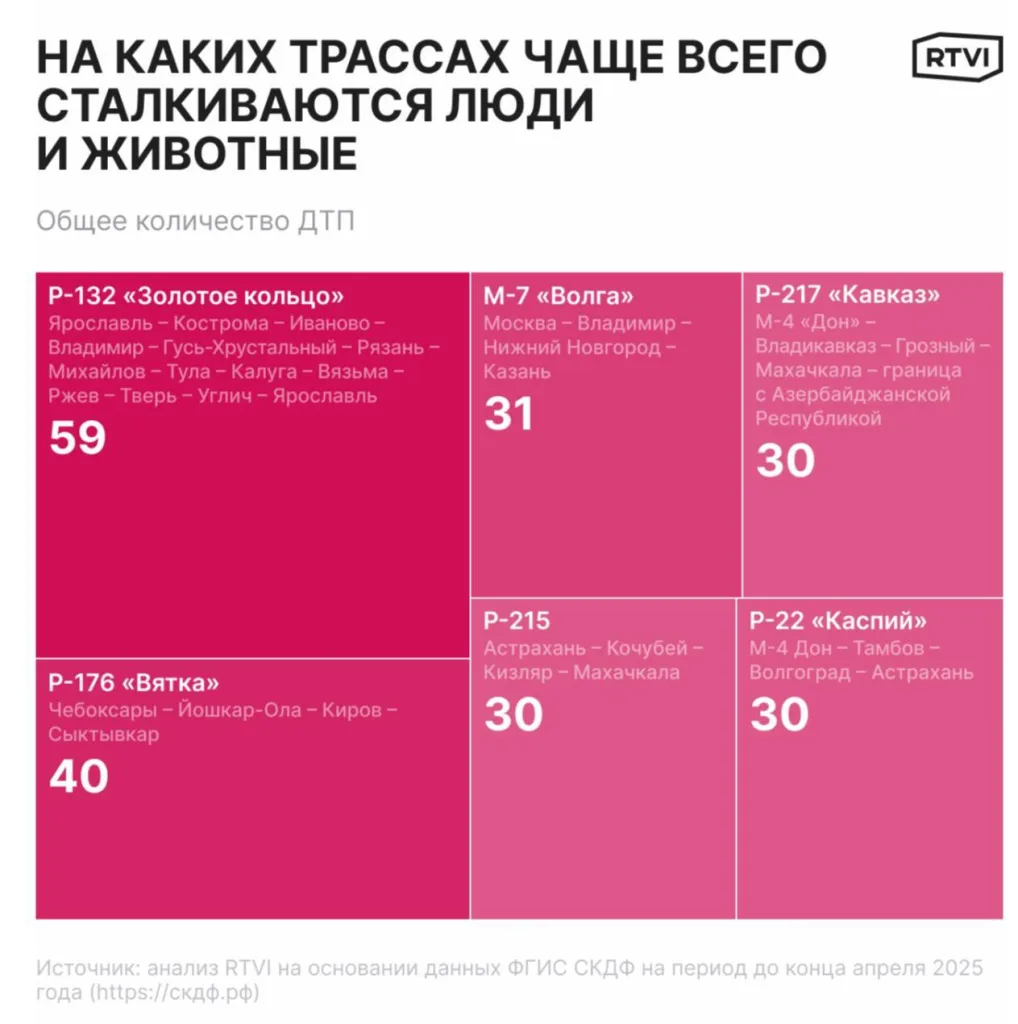 СМИ подсчитали, в каких регионах и на каких трассах происходит больше всего ДТП с животными