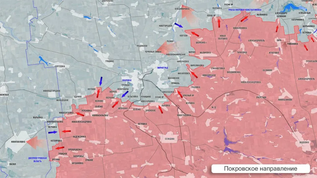 Олег Царев: Фронтовая сводка 29 июня 2025 года