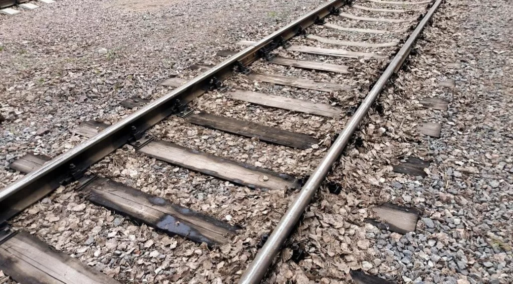 После взрыва на железной дороге в Воронежской области приостановлены поезда на юг России