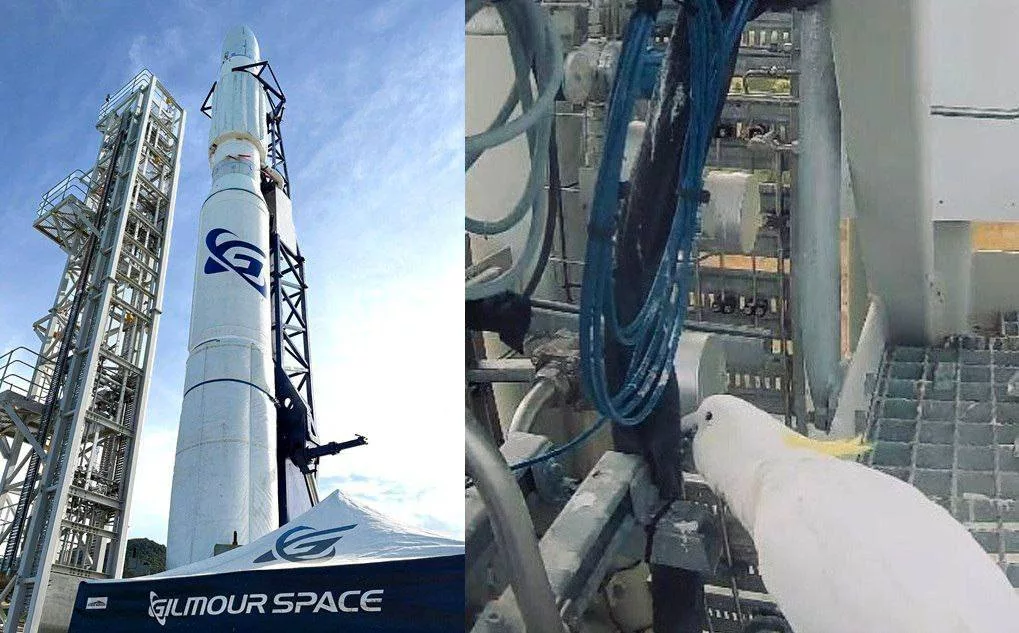 Попугай сорвал запуск первой космической ракеты в Австралии. Пуск Eris отменили из-за скачка напряжения