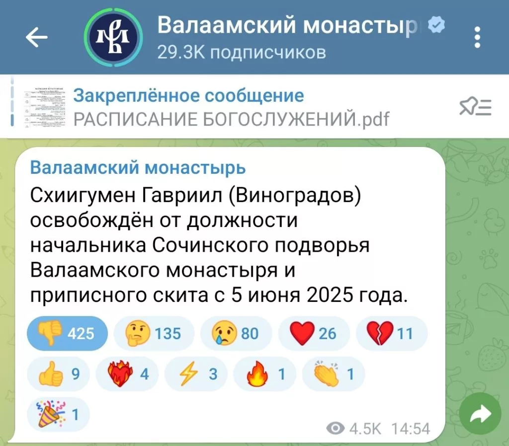 "Дебил в рясе": Апти Алаудинов выступил с резкой критикой священника, заявившего о радикализации мусульман в РФ — его отстранили от должности