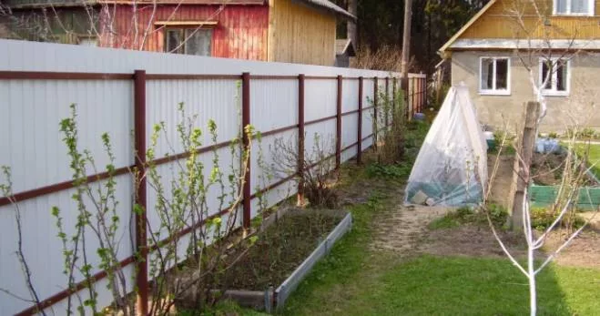 Сплошные заборы на дачах запретили устанавливать в России