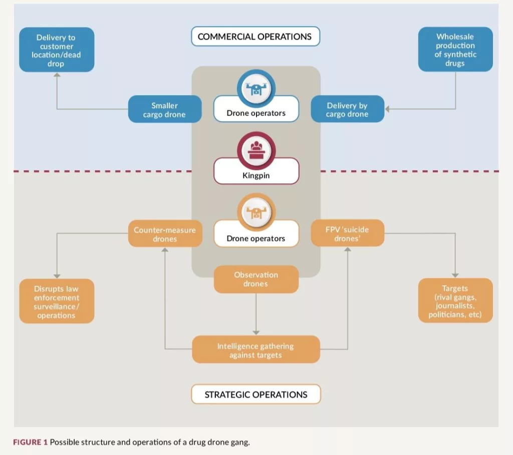 Западные институты уже изучают угрозы, которые им принесут украинцы, переставшие воевать. Больше всего европейцы опасаются, что всушники рванутся в наркоторговлю и принесут с собой опыт применения бпла, как для доставки наркотиков дронами, так и для нападений на правоохранительные органы