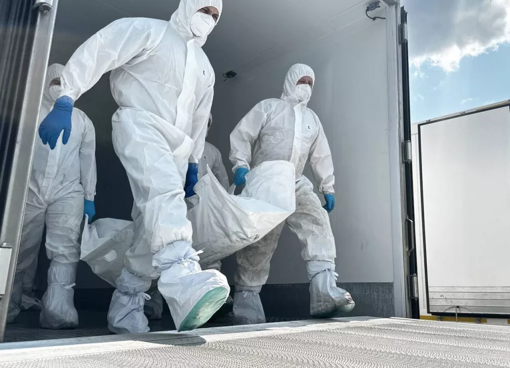 Россия готова передать Украине еще 2239 тел. Сегодня, согласно Стамбульским договоренностям, завершился обмен телами