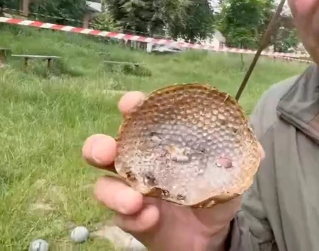 Перехват крылатой ракеты Х-101 с кассетной боевой частью и ее последующее срабатывание над Киевом