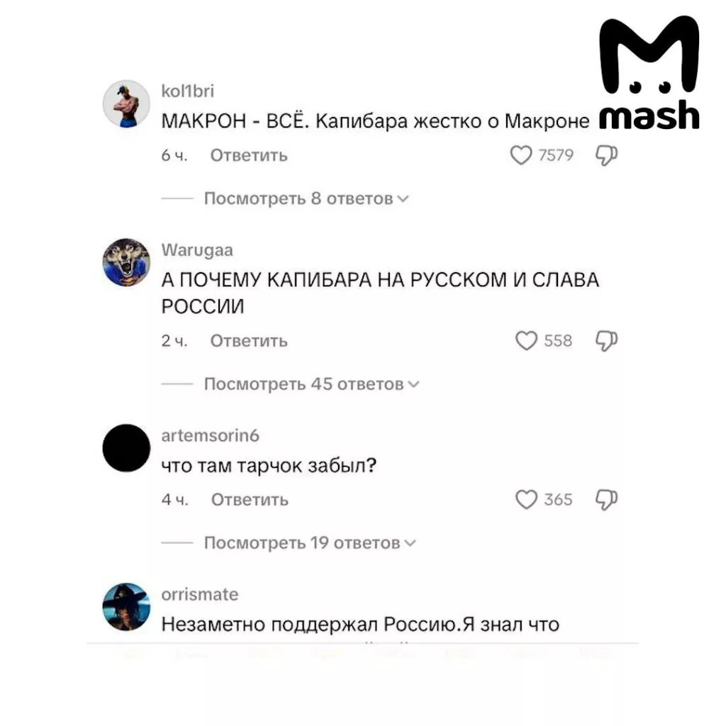 Макрон выложил в TikTok видео с саммита G7 — под русский мем-хит про капибар. Ролик в аккаунте с 6,3 млн подписчиков