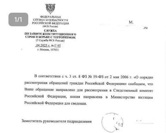 Помогавшую азовцам волонтёршу, приговорили к сроку за госизмену