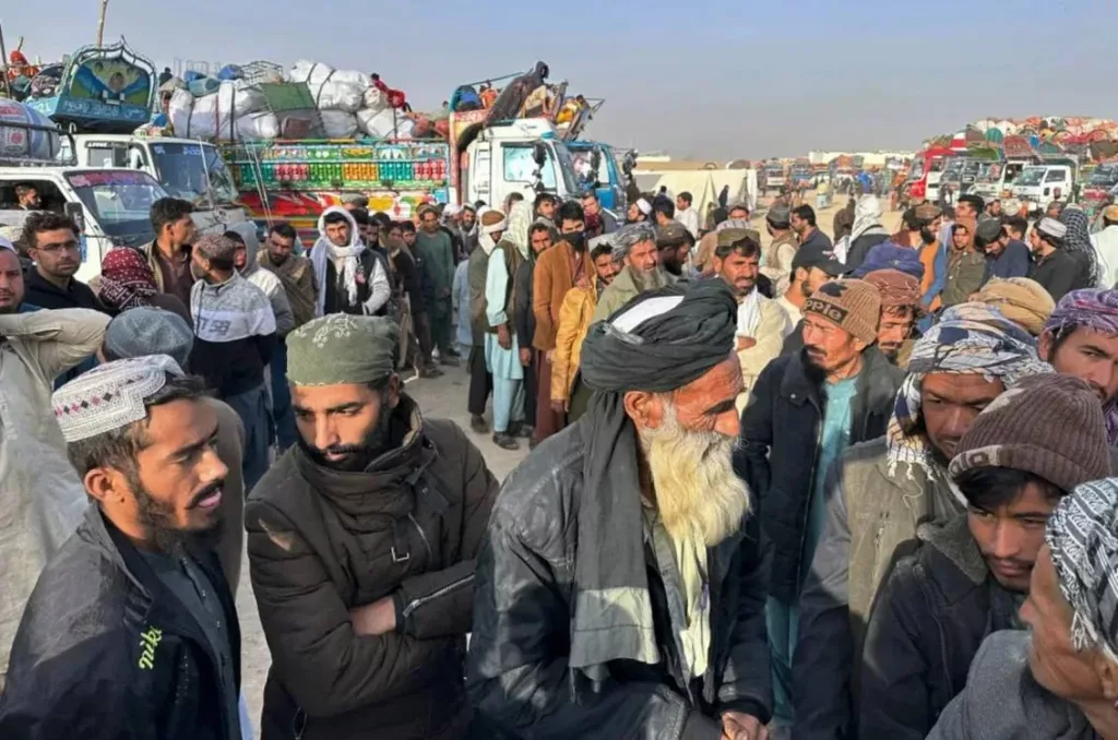 Талибы завезут в Россию тысячу рабочих