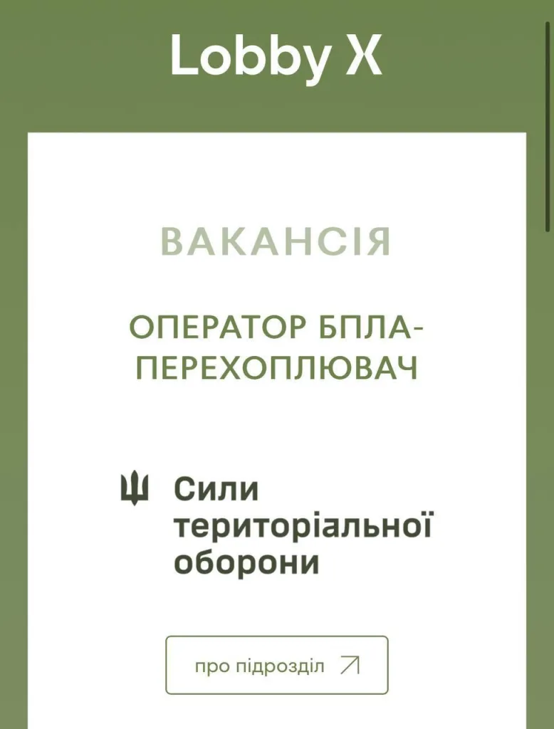 Операторы БпЛА-ПВО в ВСУ