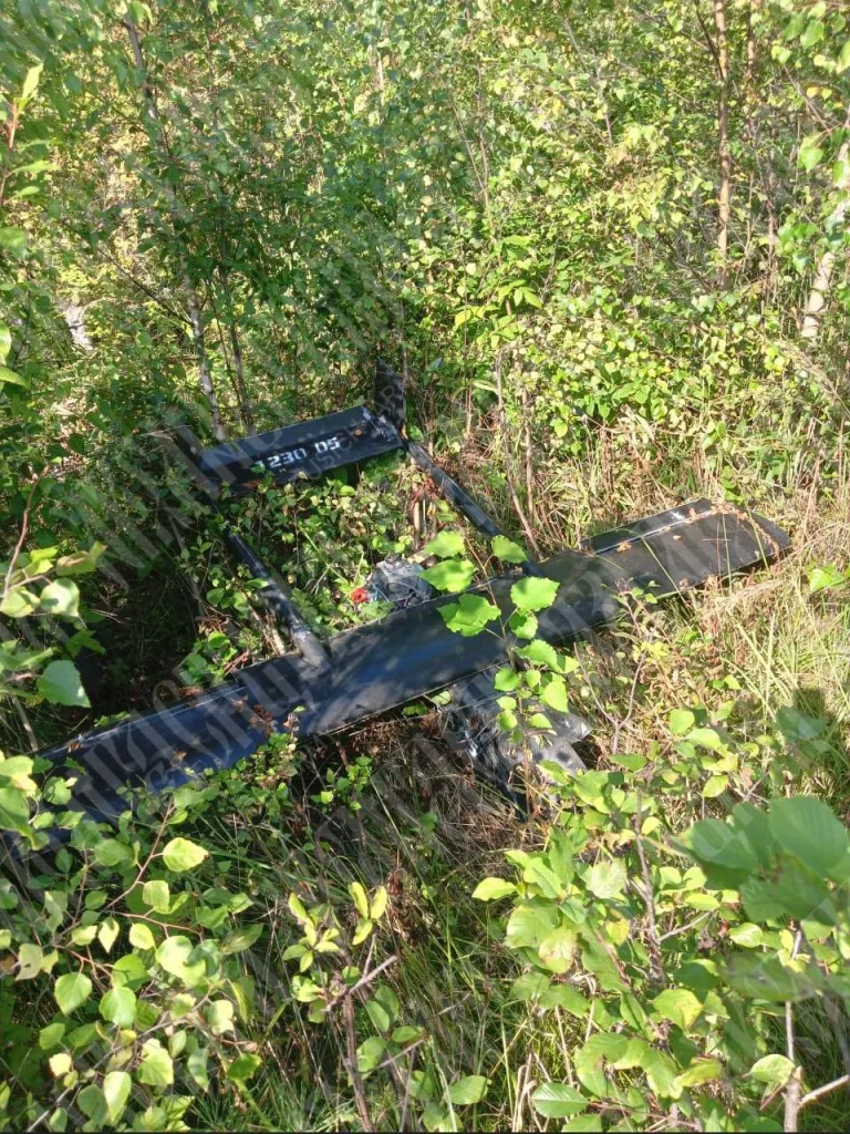 Очередной дрон найден во Владимирской области