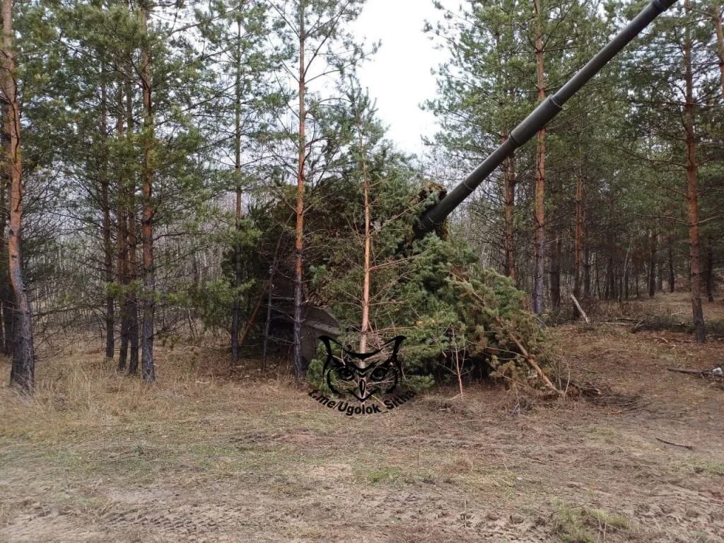Самоходки 2С19 «Мста-С» в естественной среде обитания